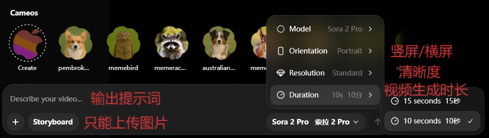 图片[1]-Sora拼车站使用教程-Sorryios-sorryios一个专注各种学习工具的网站