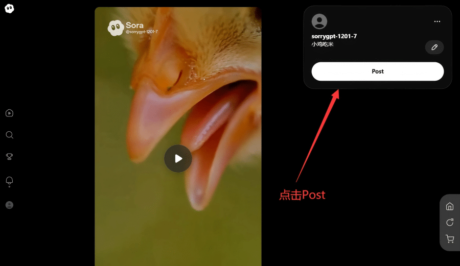 图片[4]-Sora拼车站使用教程-Sorryios-sorryios一个专注各种学习工具的网站