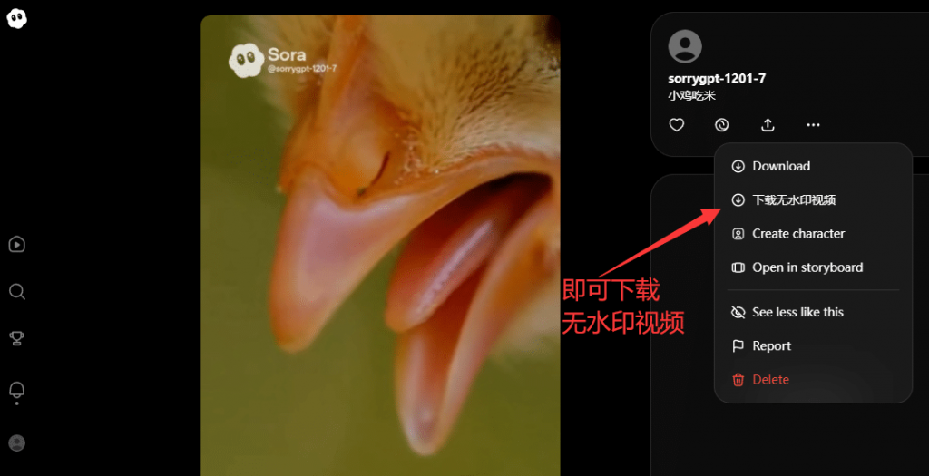 图片[6]-Sora拼车站使用教程-Sorryios-sorryios一个专注各种学习工具的网站